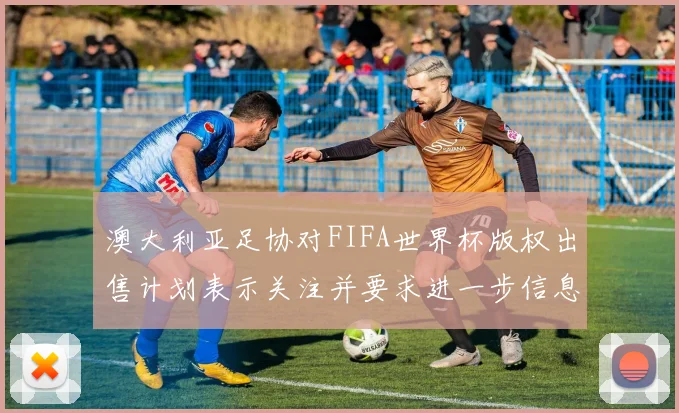 澳大利亚足协对FIFA世界杯版权出售计划表示关注并要求进一步信息